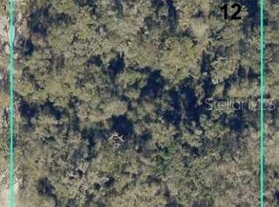 12146 SW 41st Way, Webster, FL 33597
