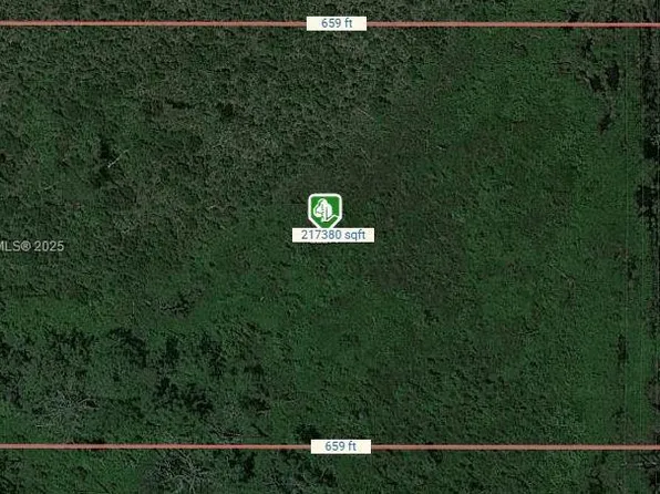 22290 NE 125th City In The Est #Of, Fort Mc Coy, FL 32134