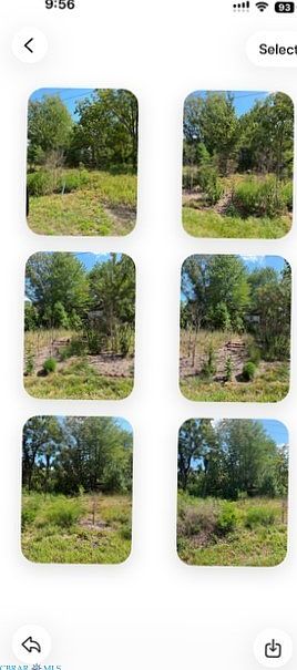 2nd image of 4784 Buena Vista Rd