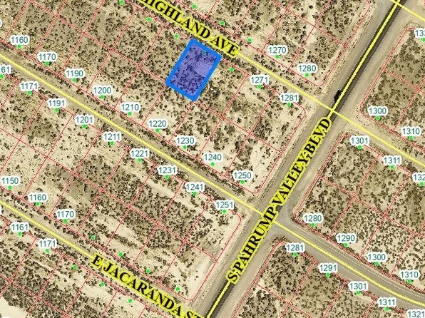 1251 E Highland Ave, Pahrump, NV 89048