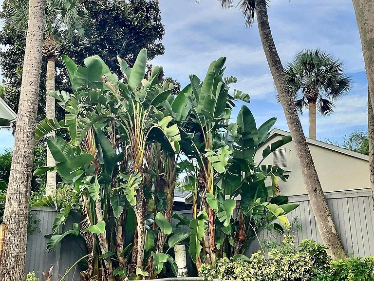 171 E Coast Dr — Photo 18
