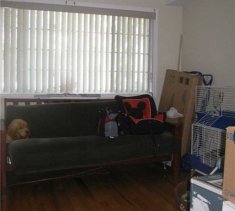 3rd image of 11545 Bedell St