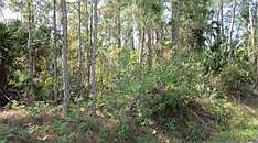 1st image of 13810 87th St