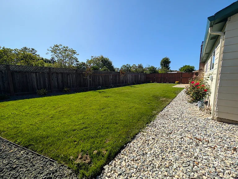 6743 Flanders Drive Backyard