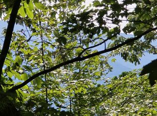 LOT 17 Abbott Mill Rd, Ellijay, GA 30540