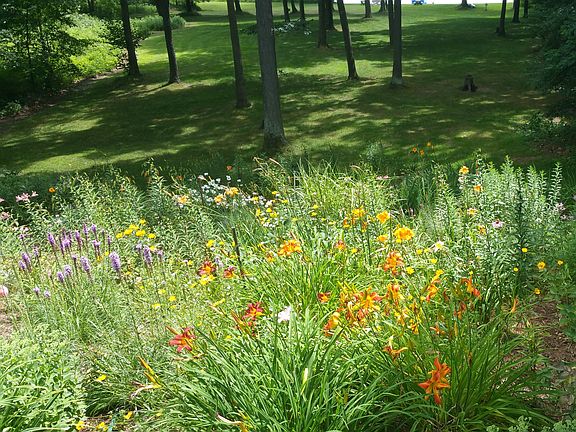 perennial garden