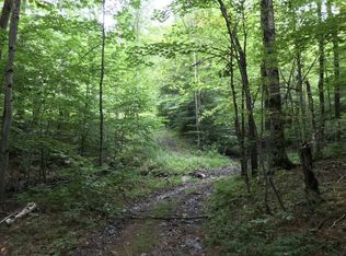 0 Clymer Ct, South Plymouth, NY 13844
