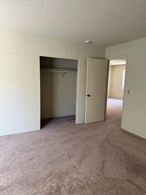 Doty Apartment North & South — Photo 4