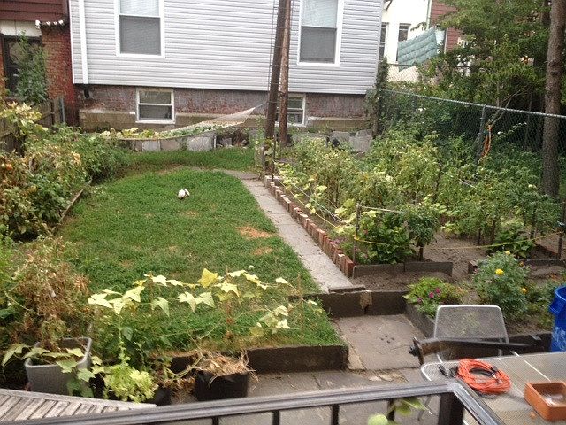 1st image of 146 9th St #1 B