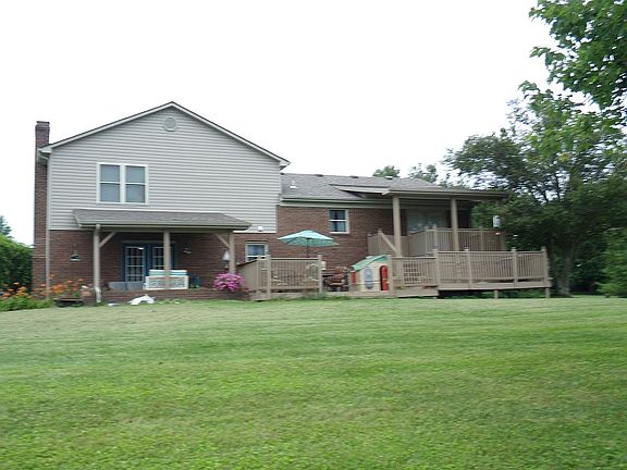 Rear View