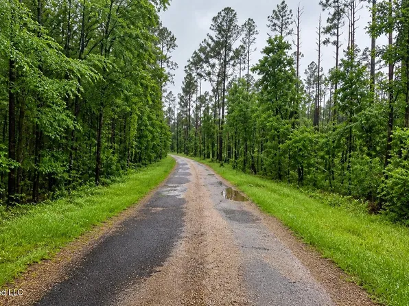 Ford Ln, Crystal Springs, MS 39059