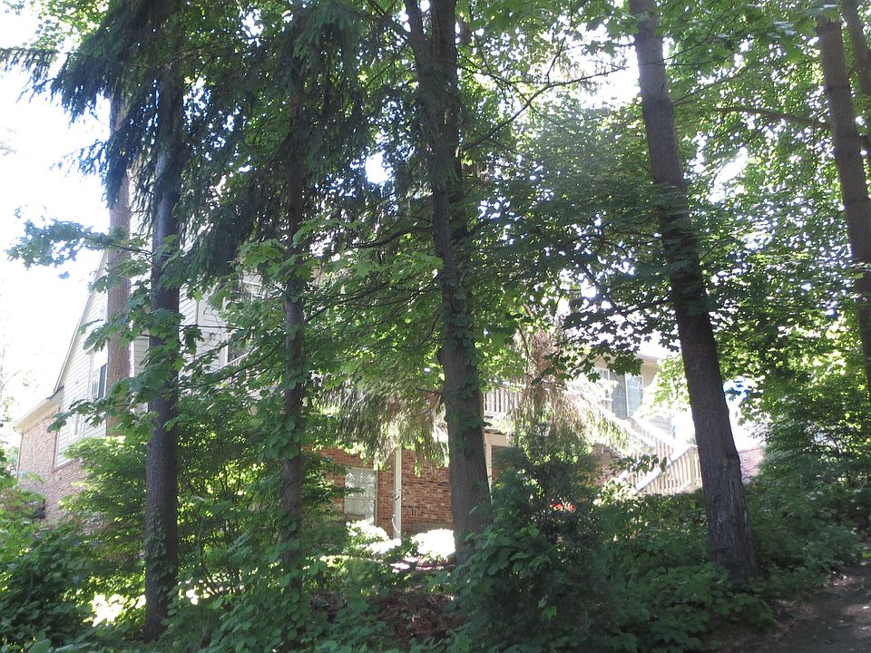 Rear or North Side