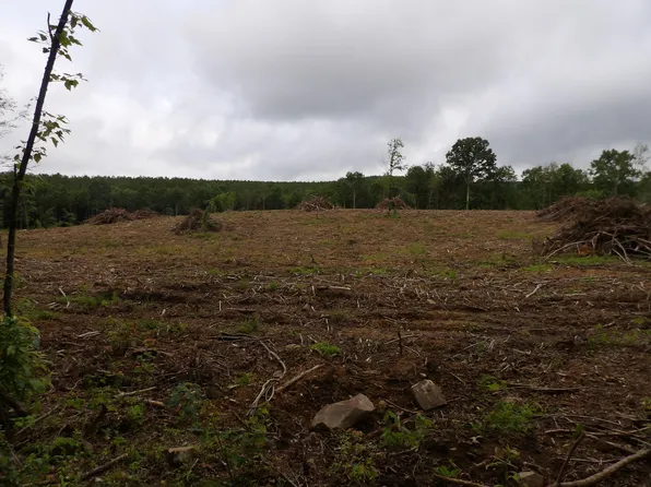 8 Hughes Cemetery Rd, Evensville, TN 37332