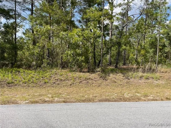 LOT 29 SW Anchor Blvd #30, Dunnellon, FL 34431