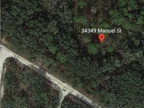 34349 Manuel St #14, Webster, FL 33597