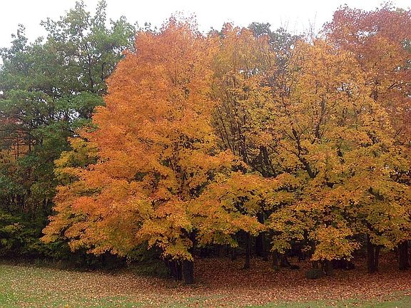 Fall view of property 