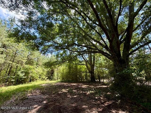 1st image of Vaniel Holmes Rd