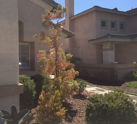 3rd image of 29768 Desert Jewel Dr