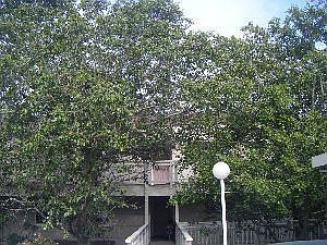 2nd image of 2402 Lupine Ct