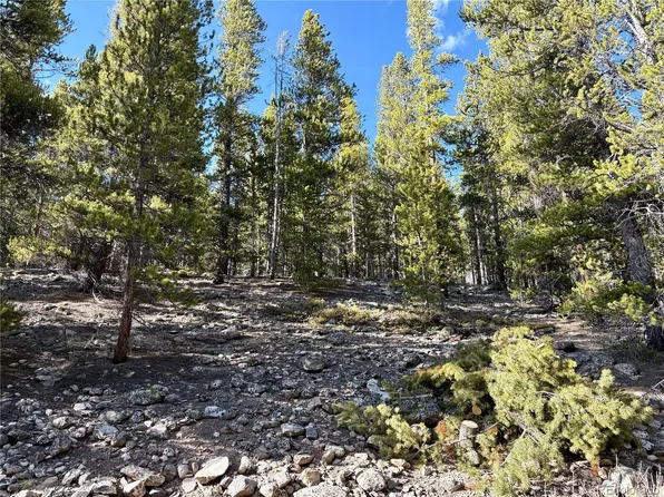 5282 Roy, Leadville, CO 80461