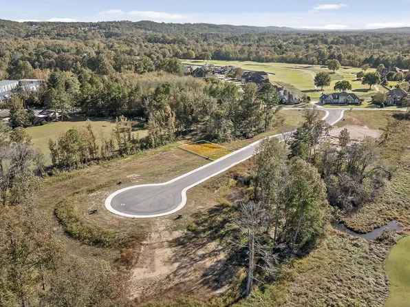 496 Council Creek Ln #14, Chattanooga, TN 37421