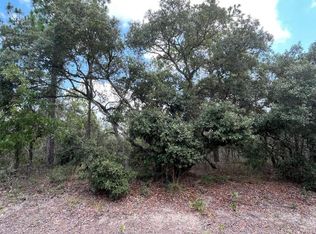 SW Neptune Blvd LOT 40, Dunnellon, FL 34431