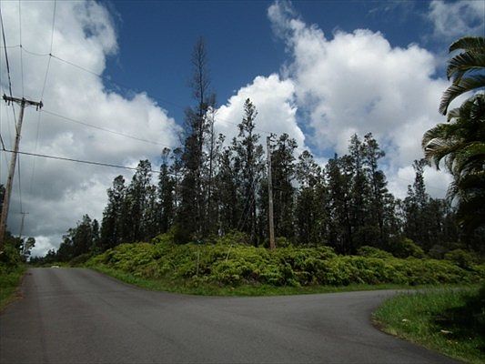 2nd image of Aulii St