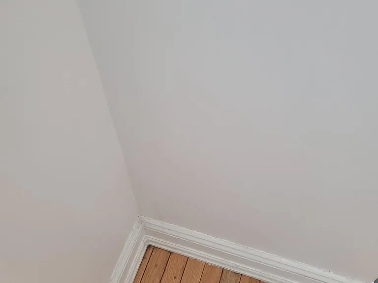 1723 Spruce St #4R — Photo 6