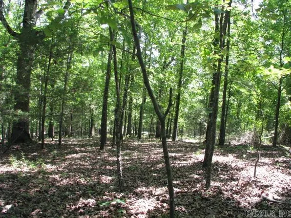 2905 Mount Springs & Crestview, Cabot, AR 72023