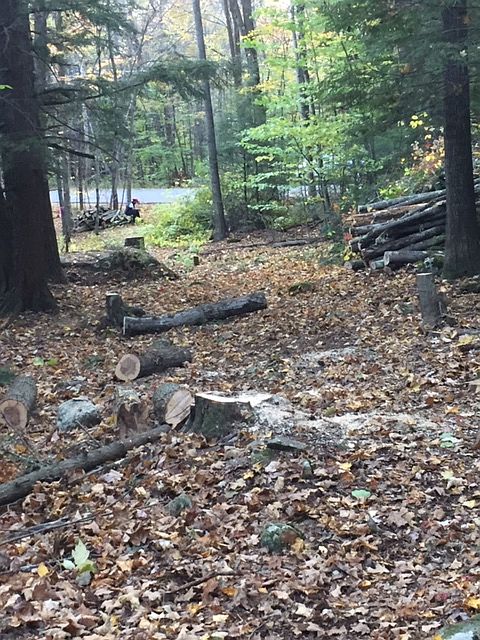 2nd image of 420 Allens Mill Rd #38