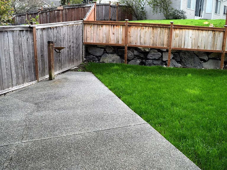 Back yard