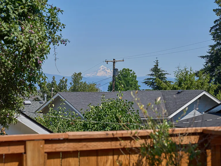 Mt. Hood View