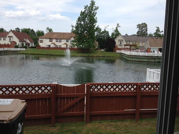 Pond behind back yard