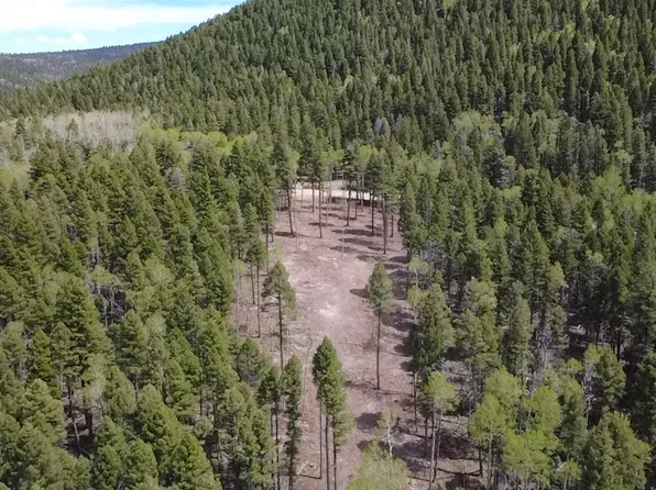 Lot 14 Back Basin Rd, Angel Fire, NM 87710