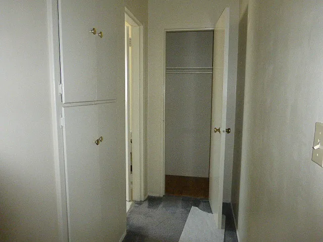Hallway extra storage closet and hallway linen closet/shelves.
