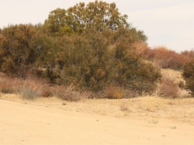 41 Rock Canyon Rd, Anza, CA, 92539