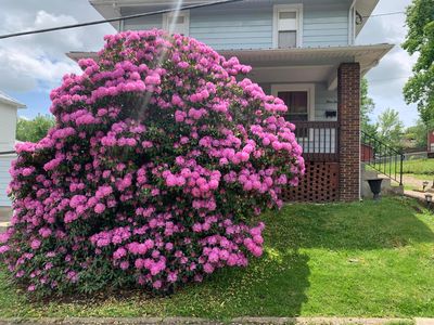 312 Park Ave, New Lexington, OH, 43764