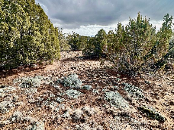 3rd image of 14 County Road 8248