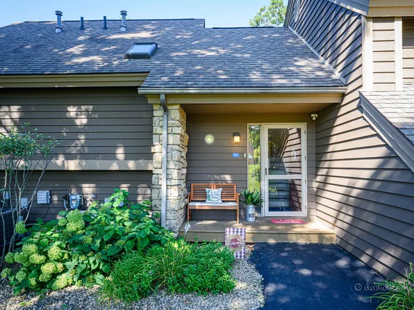 111 E Point Dr, Galena, IL 61036