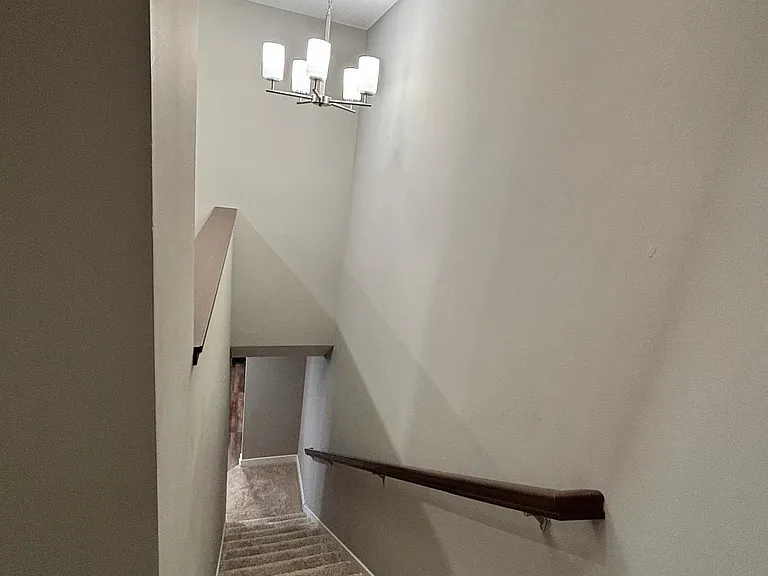 7219 Elmo Ct — Photo 22