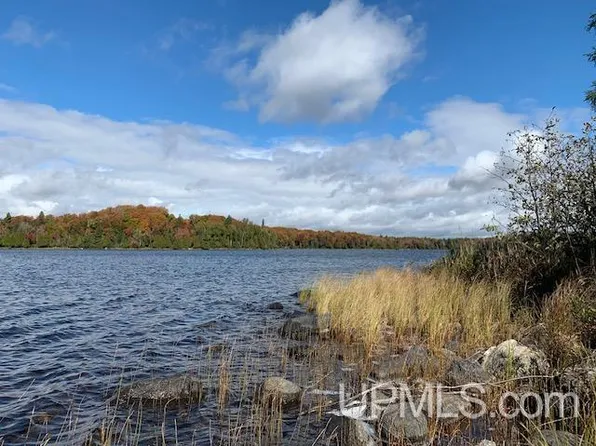 29 Secluded Point Rd, Michigamme, MI 49861