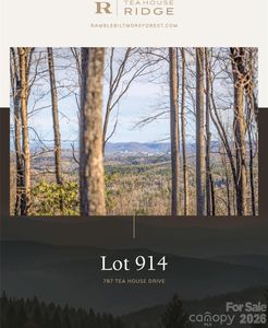 787 Tea House Dr #914, Asheville, NC, 28803