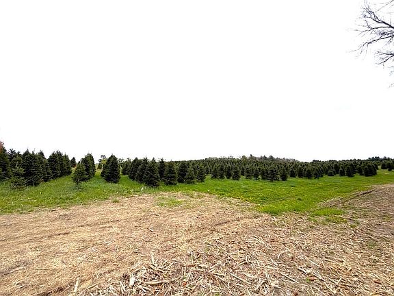 5th image of 60 acres S. Pole Grove Rd