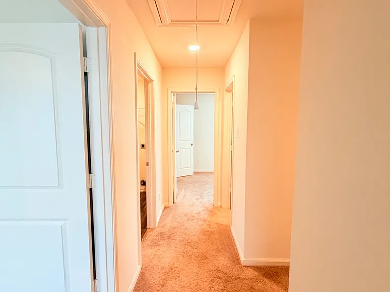 7247 Calypso Cyn — Photo 14