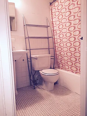 Rented by Nest Seekers International | media 7