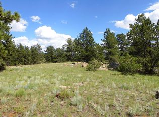 430 Valley Dr, Guffey, CO 80820