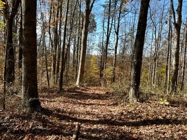 0 N Grapevine Rd, Charleston, WV 25320