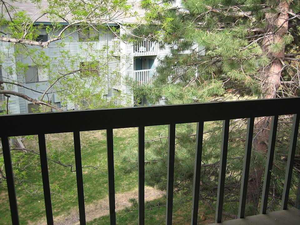 View from the back balcony