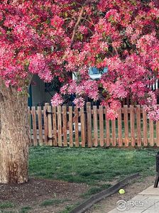 900 Mountain View Ave #259, Longmont, CO, 80501