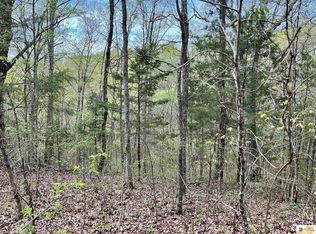 0 Burdett Rd, Edmonton, KY 42129